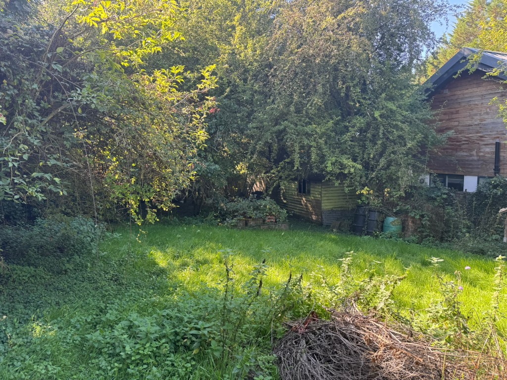 Lot: 47 - APPROXIMATELY HALF AN ACRE OF LAND WITH VACANT POSSESSION - Looking towards storage shed